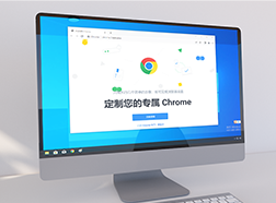 谷歌浏览器便携增强版