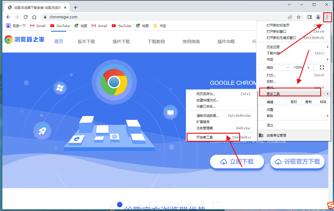 双核浏览器V93.0.4542.2 开发版