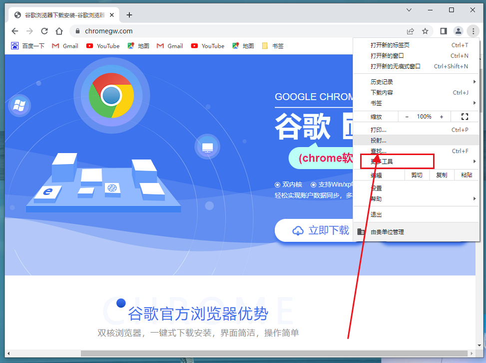 双核浏览器Dev开发版