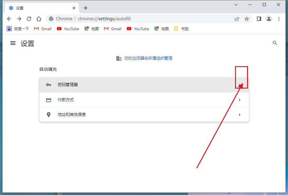 谷歌浏览器怎么开启自动填充功能？