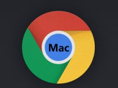 Mac版谷歌浏览器网页响应时间过长怎么办缩略图