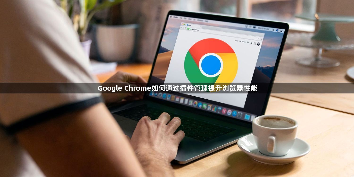 Google Chrome如何通过插件管理提升浏览器性能1