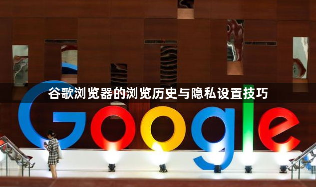 谷歌浏览器的浏览历史与隐私设置技巧1