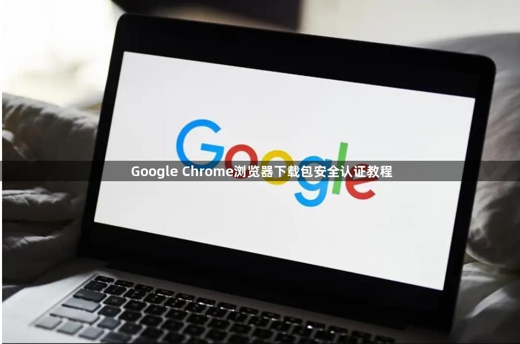 Google Chrome浏览器下载包安全认证教程1