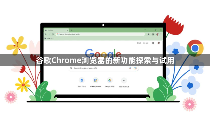 谷歌Chrome浏览器的新功能探索与试用1