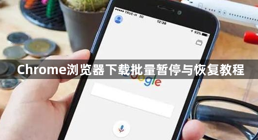 Chrome浏览器下载批量暂停与恢复教程1
