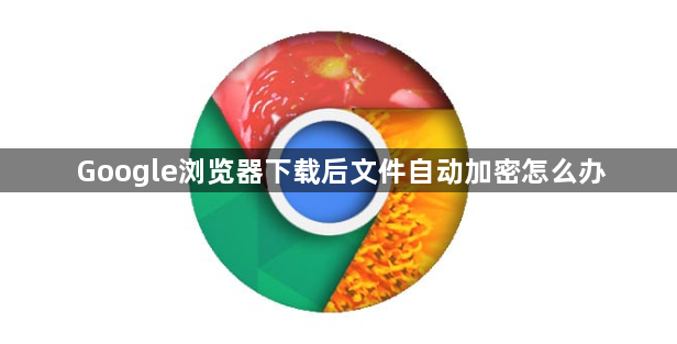 Google浏览器下载后文件自动加密怎么办1