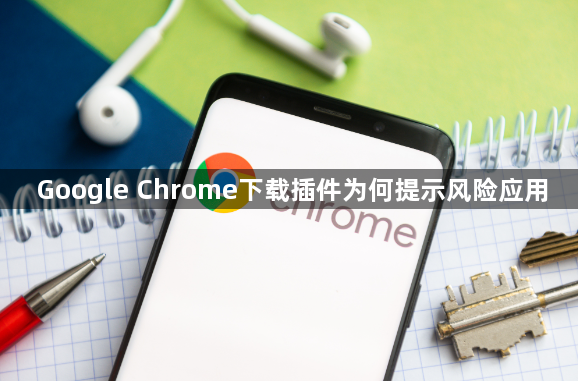 Google Chrome下载插件为何提示风险应用1