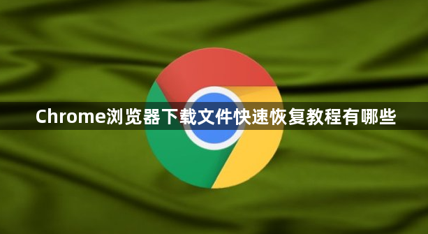 Chrome浏览器下载文件快速恢复教程有哪些1