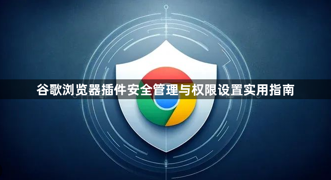谷歌浏览器插件安全管理与权限设置实用指南1