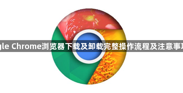 Google Chrome浏览器下载及卸载完整操作流程及注意事项分享1