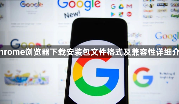 Chrome浏览器下载安装包文件格式及兼容性详细介绍1