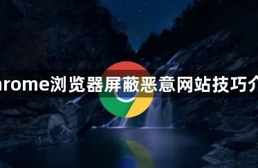Chrome浏览器屏蔽恶意网站技巧介绍1