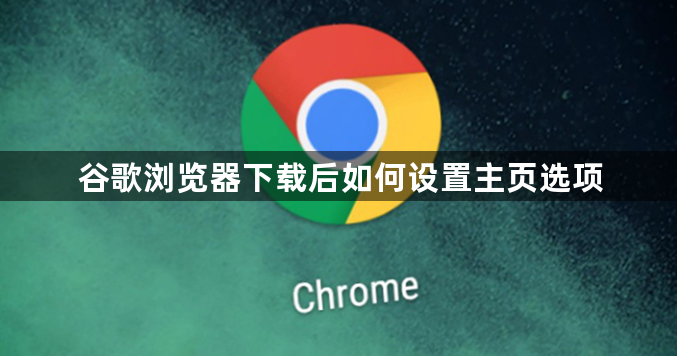 谷歌浏览器下载后如何设置主页选项1