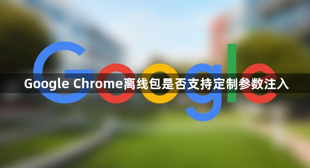 Google Chrome离线包是否支持定制参数注入1