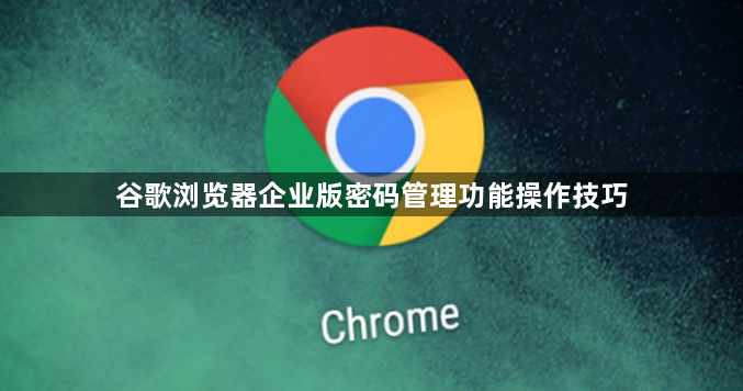 谷歌浏览器企业版密码管理功能操作技巧1